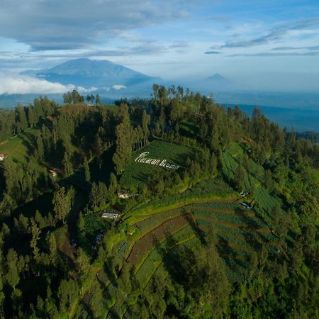 Hotel Plataran Bromo Ngadiwano Exterior foto