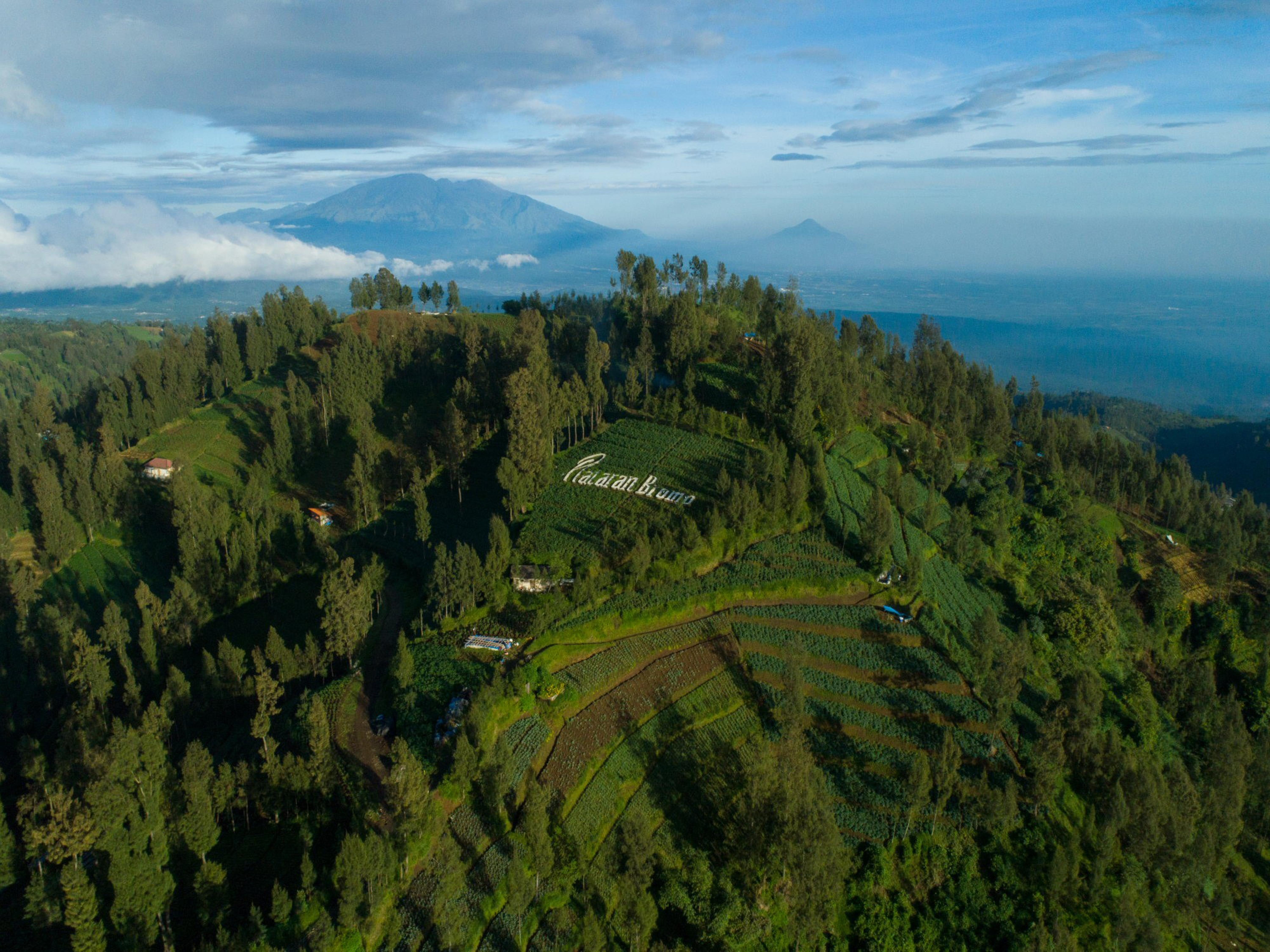 Hotel Plataran Bromo Ngadiwano Exterior foto