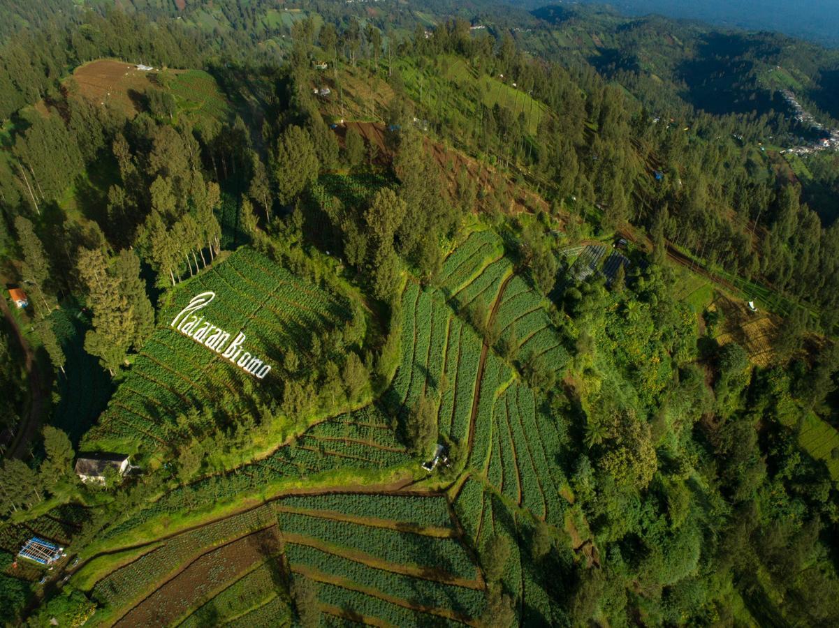 Hotel Plataran Bromo Ngadiwano Exterior foto