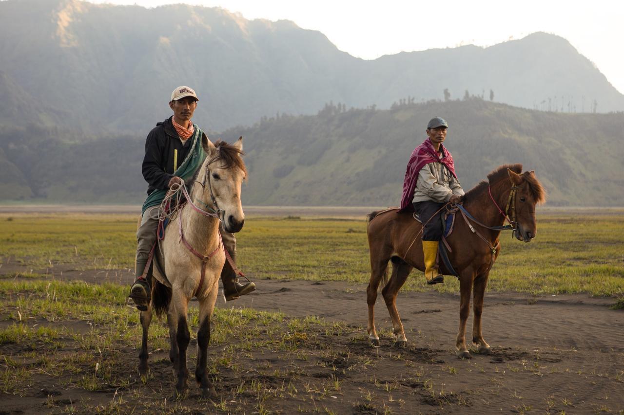 Hotel Plataran Bromo Ngadiwano Exterior foto