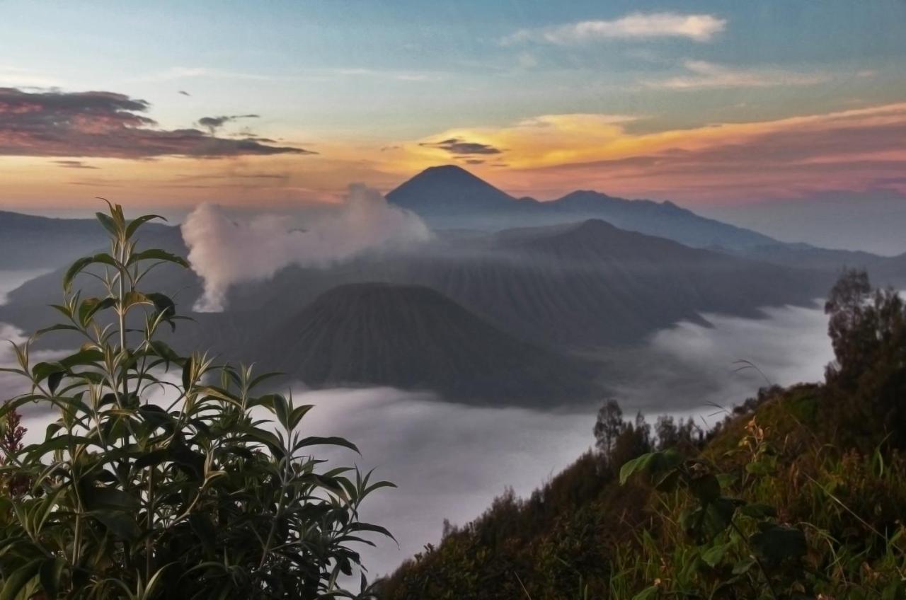 Hotel Plataran Bromo Ngadiwano Exterior foto